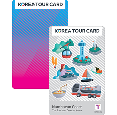 t money tourist card